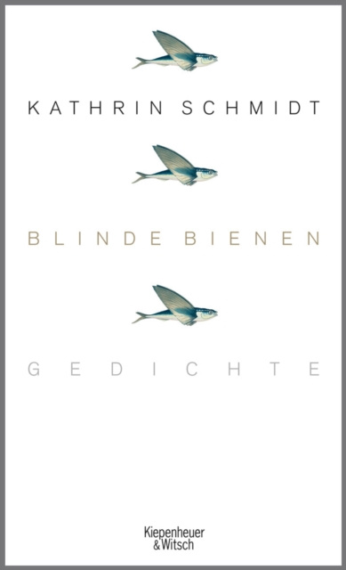 E-kniha Blinde Bienen Kathrin Schmidt