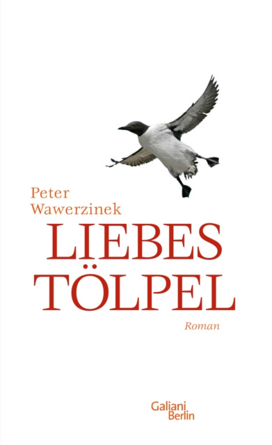 E-book Liebestolpel Peter Wawerzinek