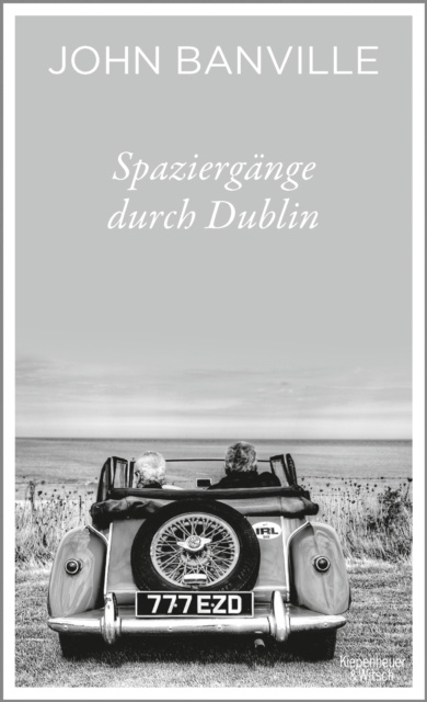 E-book Spaziergange durch Dublin John Banville