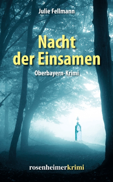 E-book Nacht der Einsamen Julie Fellmann