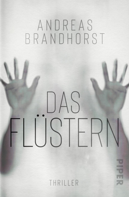 E-knjiga Das Flustern Andreas Brandhorst