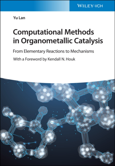 E-kniha Computational Methods in Organometallic Catalysis Yu Lan