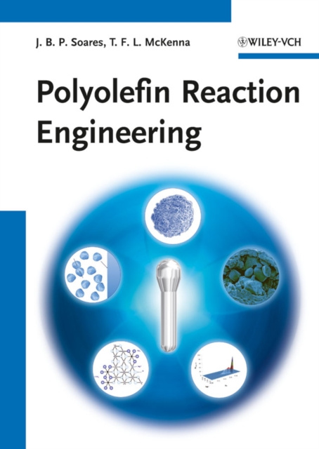 E-knjiga Polyolefin Reaction Engineering Timothy F. L. McKenna