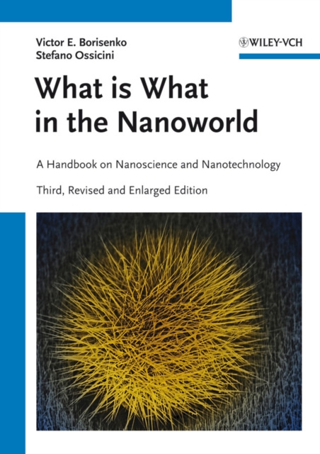 E-kniha What is What in the Nanoworld Victor E. Borisenko