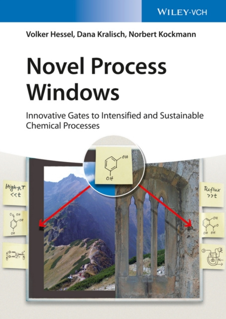 E-kniha Novel Process Windows Volker Hessel