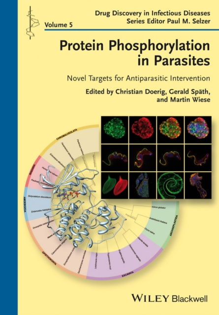 E-kniha Protein Phosphorylation in Parasites Christian Doerig