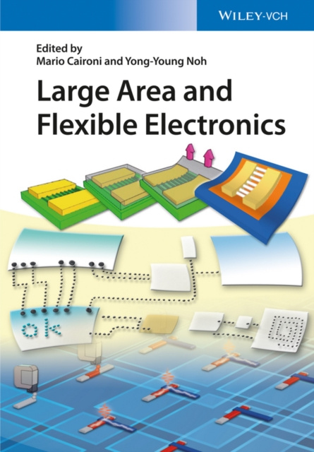 E-book Large Area and Flexible Electronics Mario Caironi