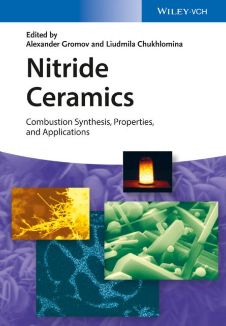 E-book Nitride Ceramics Alexander A. Gromov