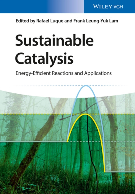 ebook Sustainable Catalysis Rafael Luque