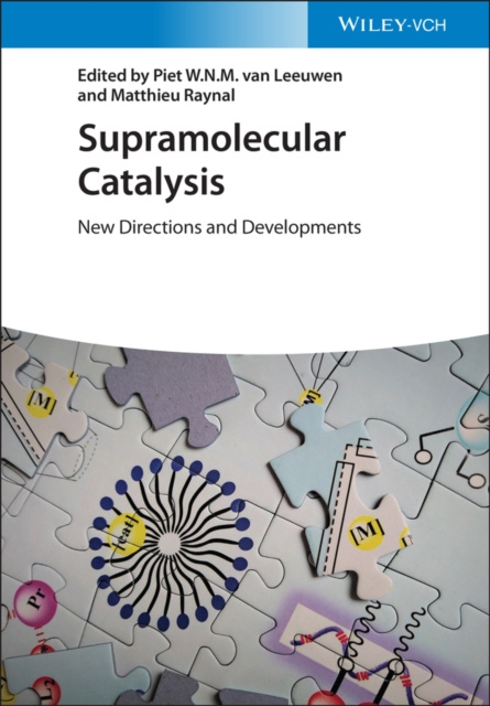 E-knjiga Supramolecular Catalysis Matthieu Raynal