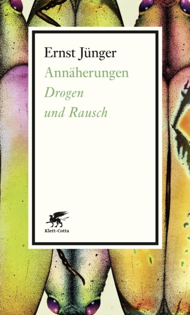 E-kniha Annaherungen Ernst Junger
