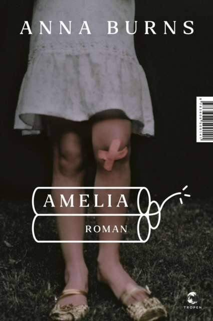 E-kniha Amelia Anna Burns