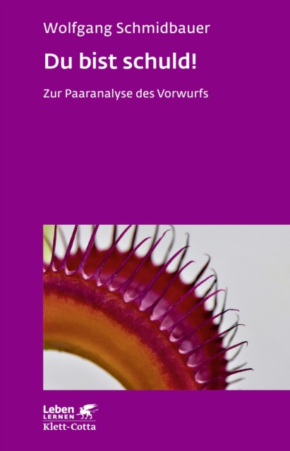 ebook Du bist schuld! (Leben Lernen, Bd. 315) Wolfgang Schmidbauer