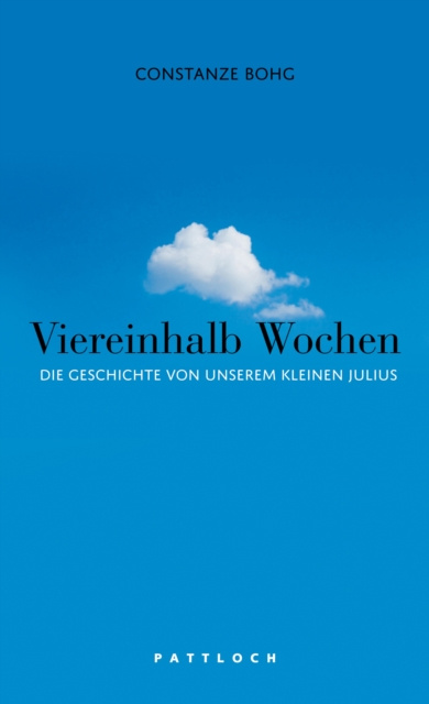E-knjiga Viereinhalb Wochen Constanze Bohg