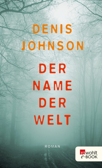 E-book Der Name der Welt Denis Johnson