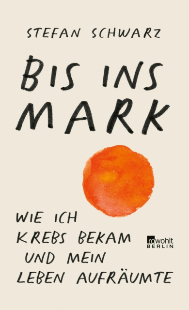 E-book Bis ins Mark Stefan Schwarz