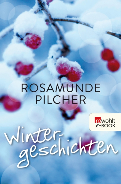 E-book Wintergeschichten Rosamunde Pilcher