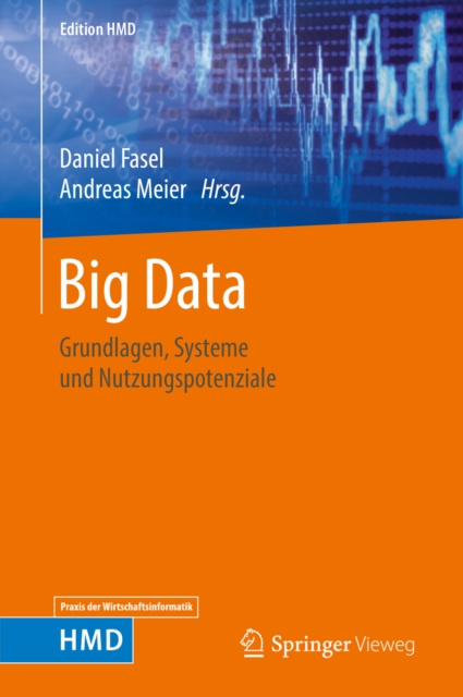 E-book Big Data Daniel Fasel