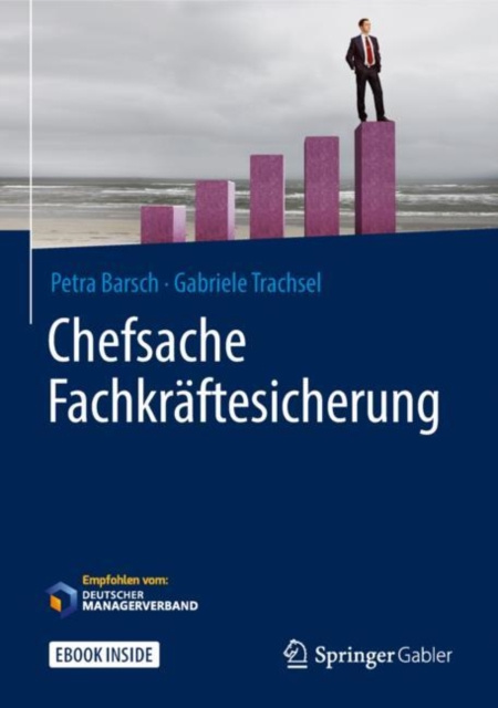 E-kniha Chefsache Fachkraftesicherung Petra Barsch