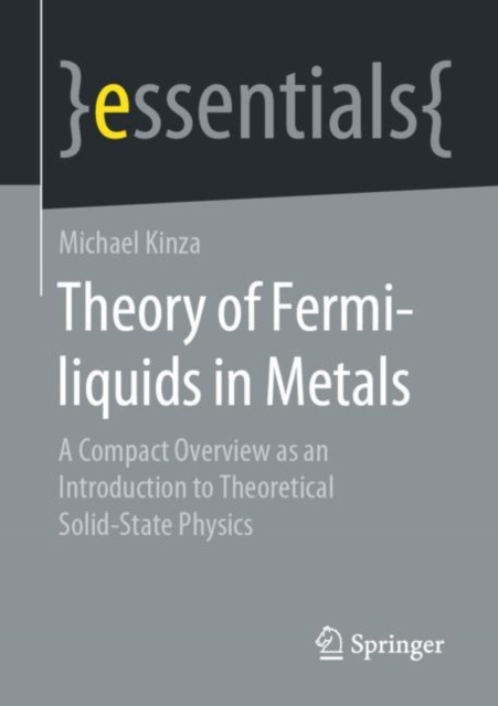 E-Book Theory of Fermi-liquids in Metals Michael Kinza