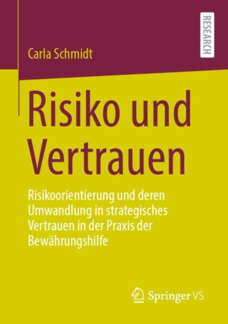 E-book Risiko und Vertrauen Carla Schmidt