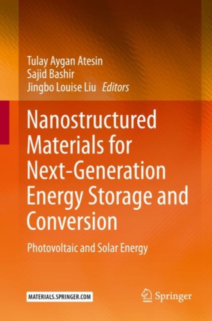 E-book Nanostructured Materials for Next-Generation Energy Storage and Conversion Tulay Aygan Atesin