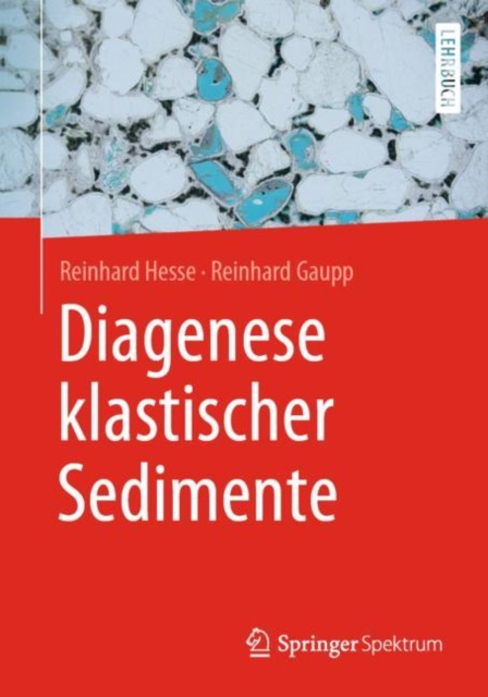 E-kniha Diagenese klastischer Sedimente Reinhard Hesse