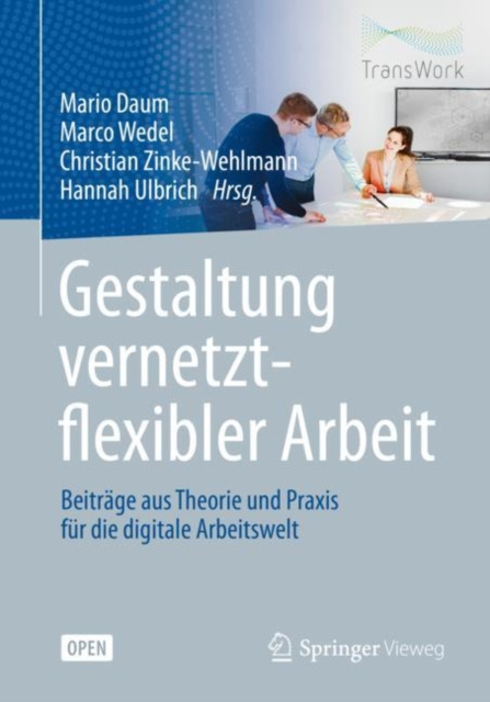 E-kniha Gestaltung vernetzt-flexibler Arbeit Mario Daum