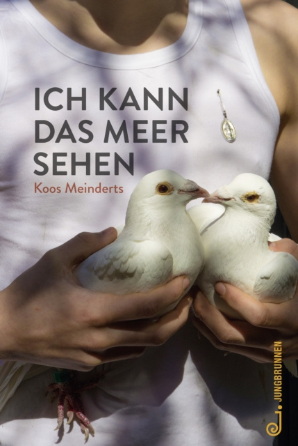 E-book Ich kann das Meer sehen Koos Meinderts