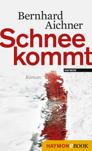 ebook Schnee kommt Bernhard Aichner