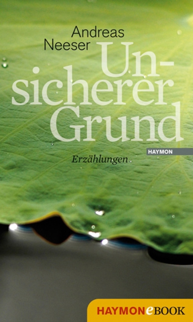 E-knjiga Unsicherer Grund Andreas Neeser