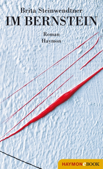 Libro elettronico Im Bernstein Brita Steinwendtner