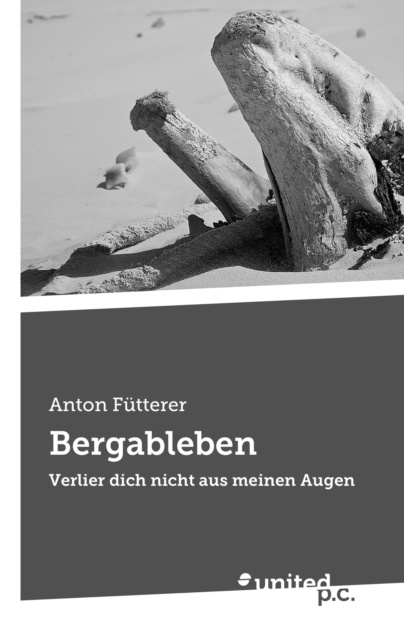 E-knjiga Bergableben Anton Futterer