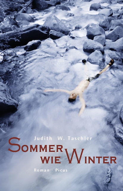E-kniha Sommer wie Winter Judith W. Taschler
