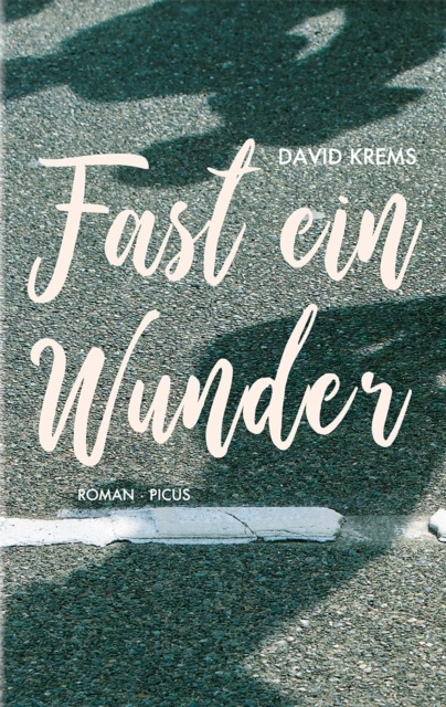 E-knjiga Fast ein Wunder David Krems