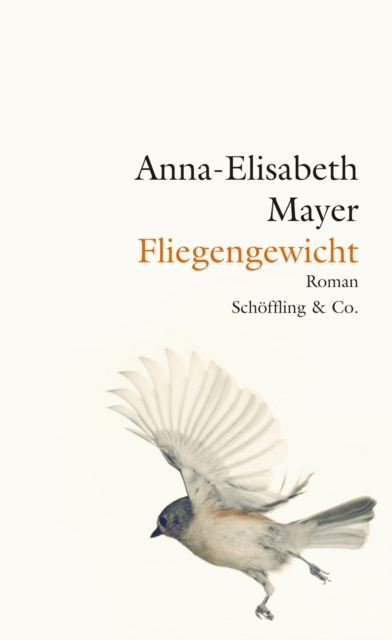 E-knjiga Fliegengewicht Anna-Elisabeth Mayer