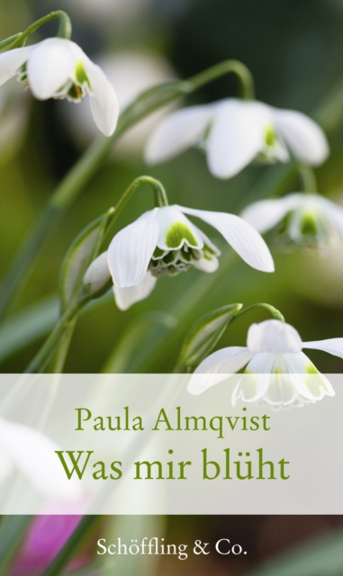 E-kniha Was mir bluht Paula Almqvist