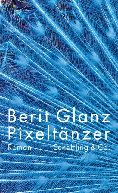 Libro electrónico Pixeltanzer Berit Glanz