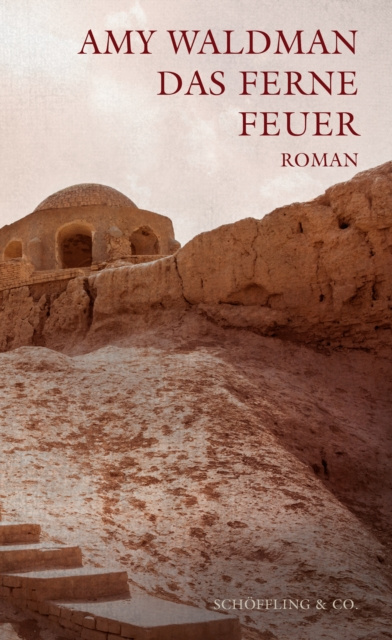 ebook Das ferne Feuer Amy Waldman