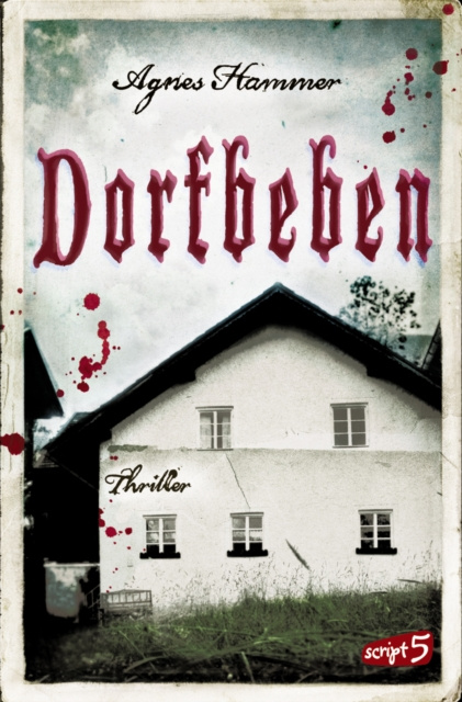 E-book Dorfbeben Agnes Hammer