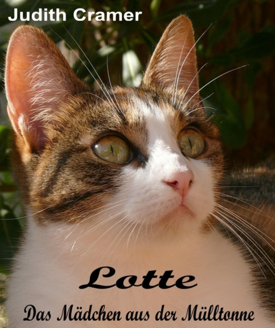 E-book Lotte Judith Cramer