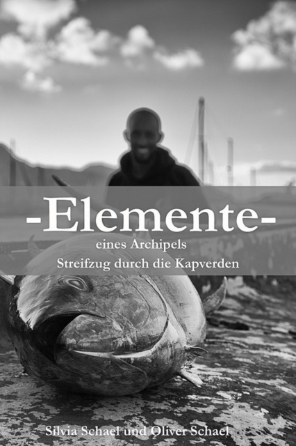 E-knjiga Elemente Oliver Schael