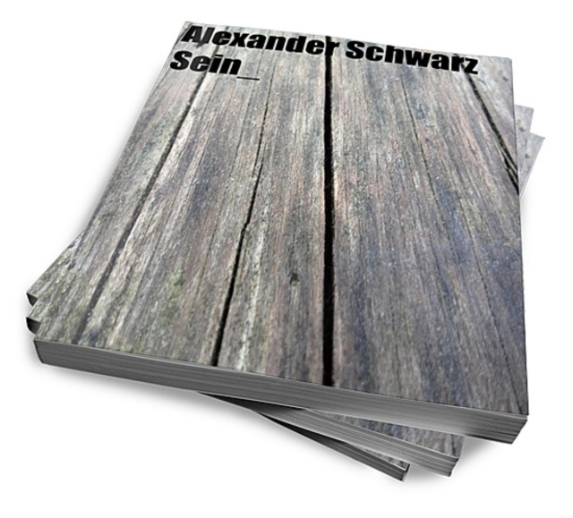 E-knjiga Sein Alexander Schwarz