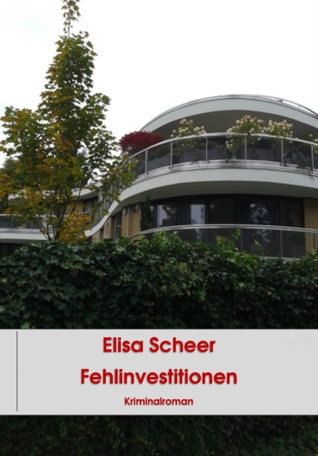 E-knjiga Fehlinvestitionen Elisa Scheer
