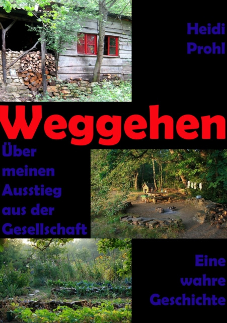 E-knjiga Weggehen Heidi Prohl