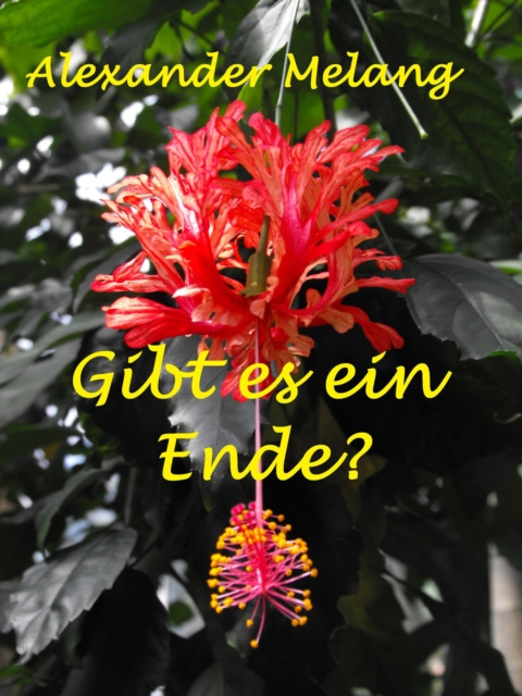 E-knjiga Gibt es ein Ende? Alexander Melang
