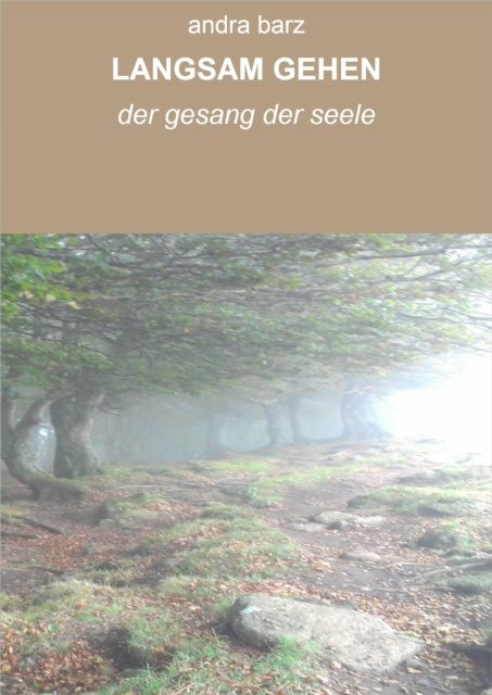 ebook LANGSAM GEHEN andra barz