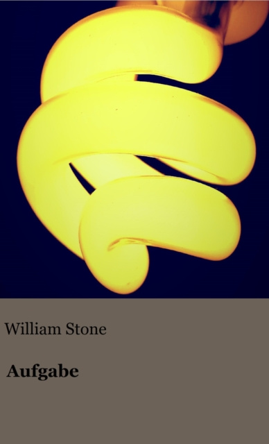 E-book Aufgabe William Stone