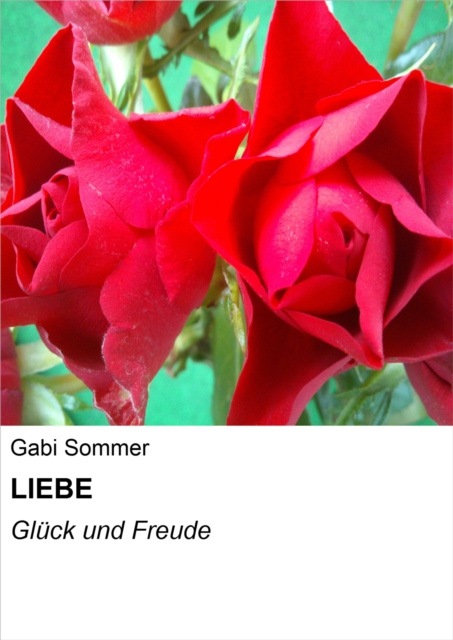 E-knjiga LIEBE Gabi Sommer
