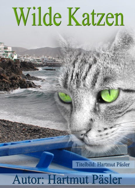 E-book Wilde Katzen Hartmut Pasler